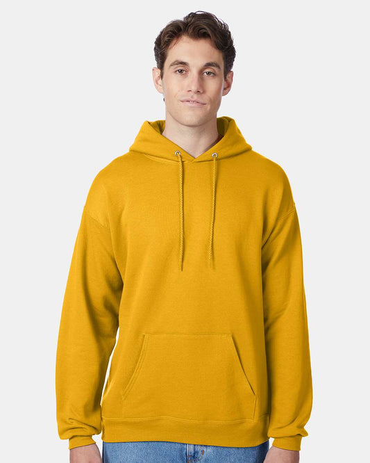 Hanes Ecosmart® Hooded Sweatshirt - P170