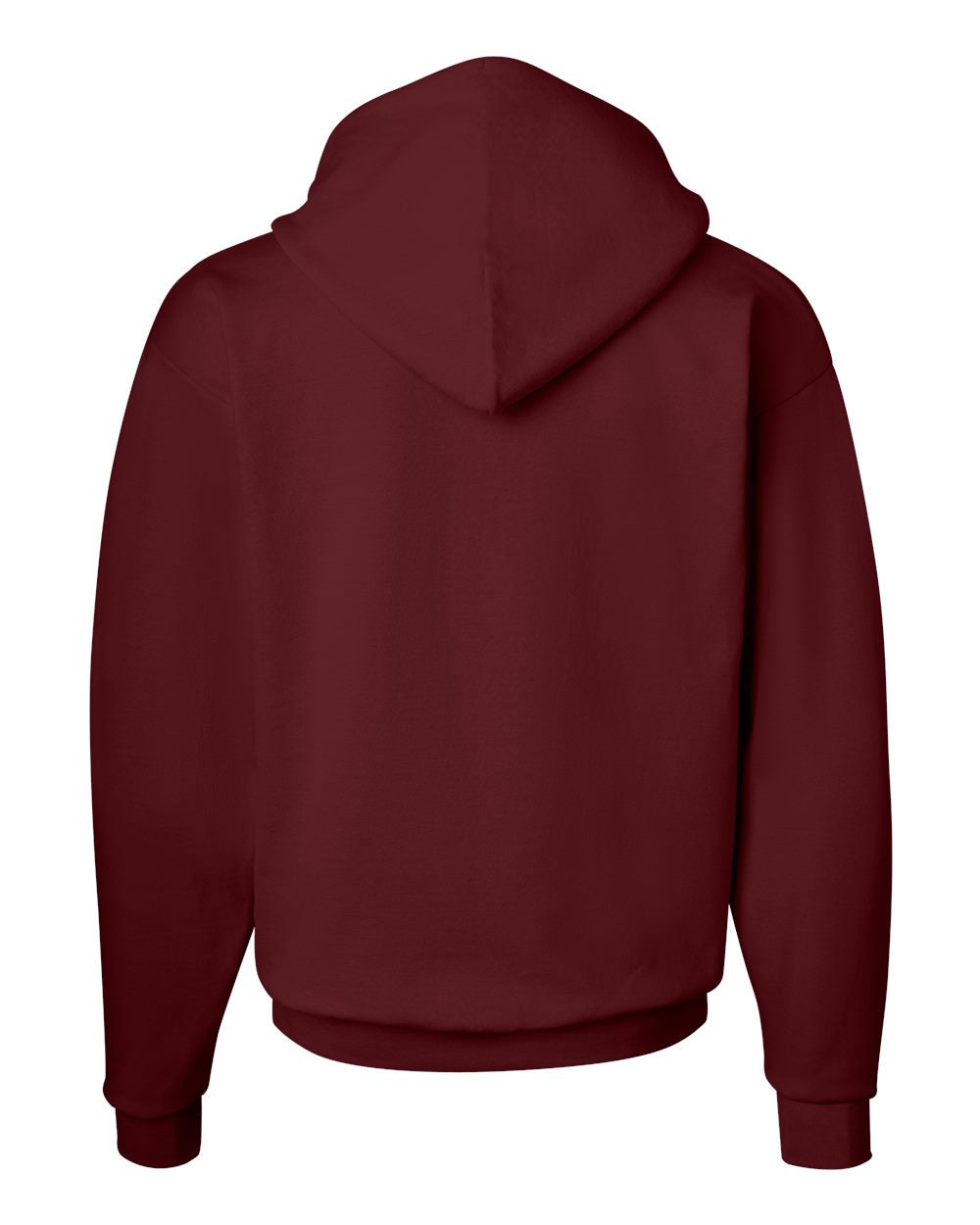 Hanes Ecosmart® Hooded Sweatshirt - P170