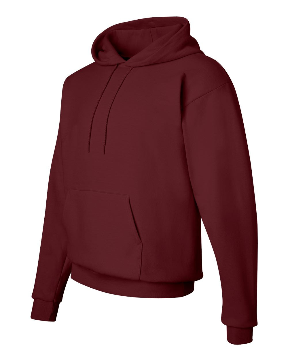 Hanes Ecosmart® Hooded Sweatshirt - P170