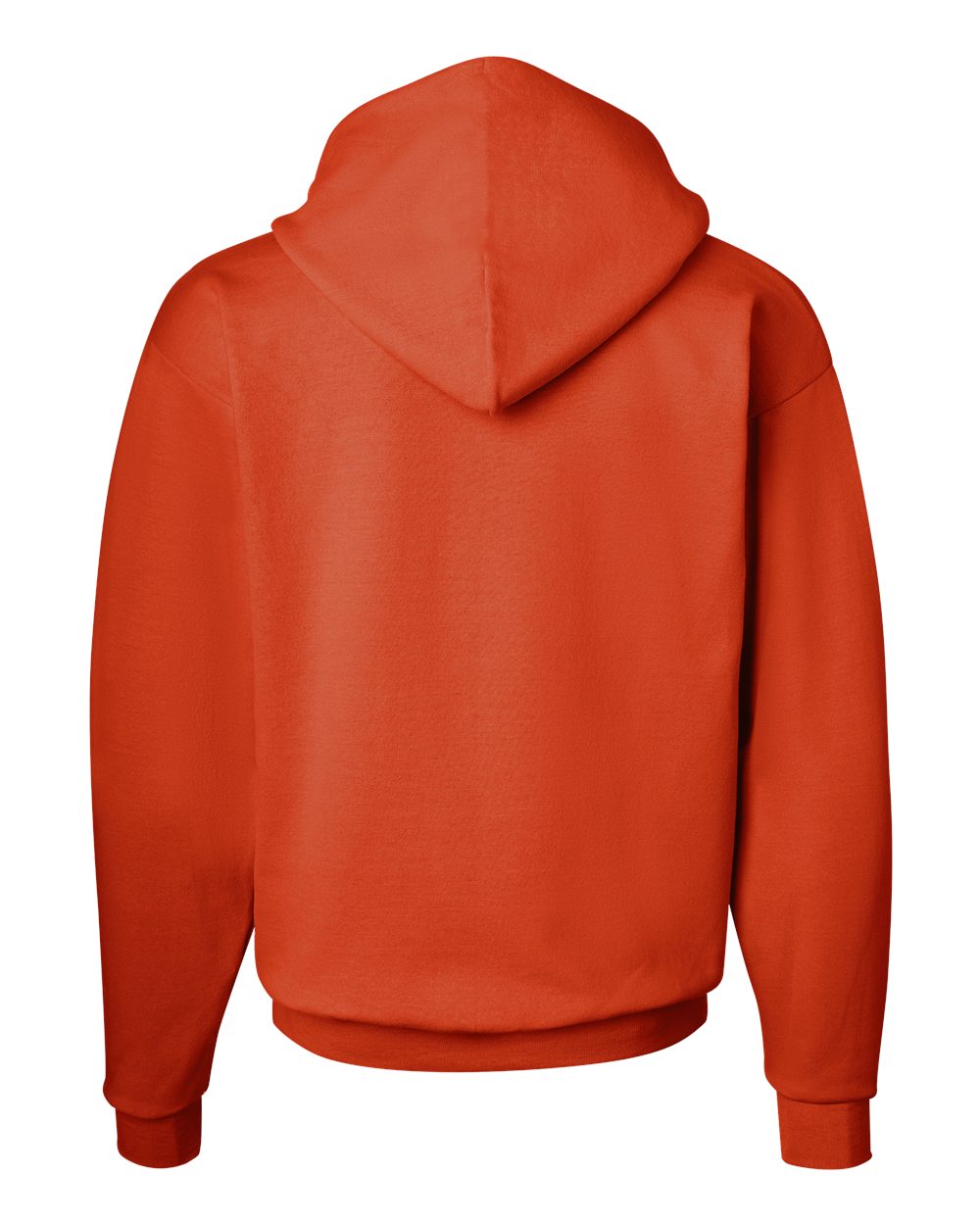Hanes Ecosmart® Hooded Sweatshirt - P170