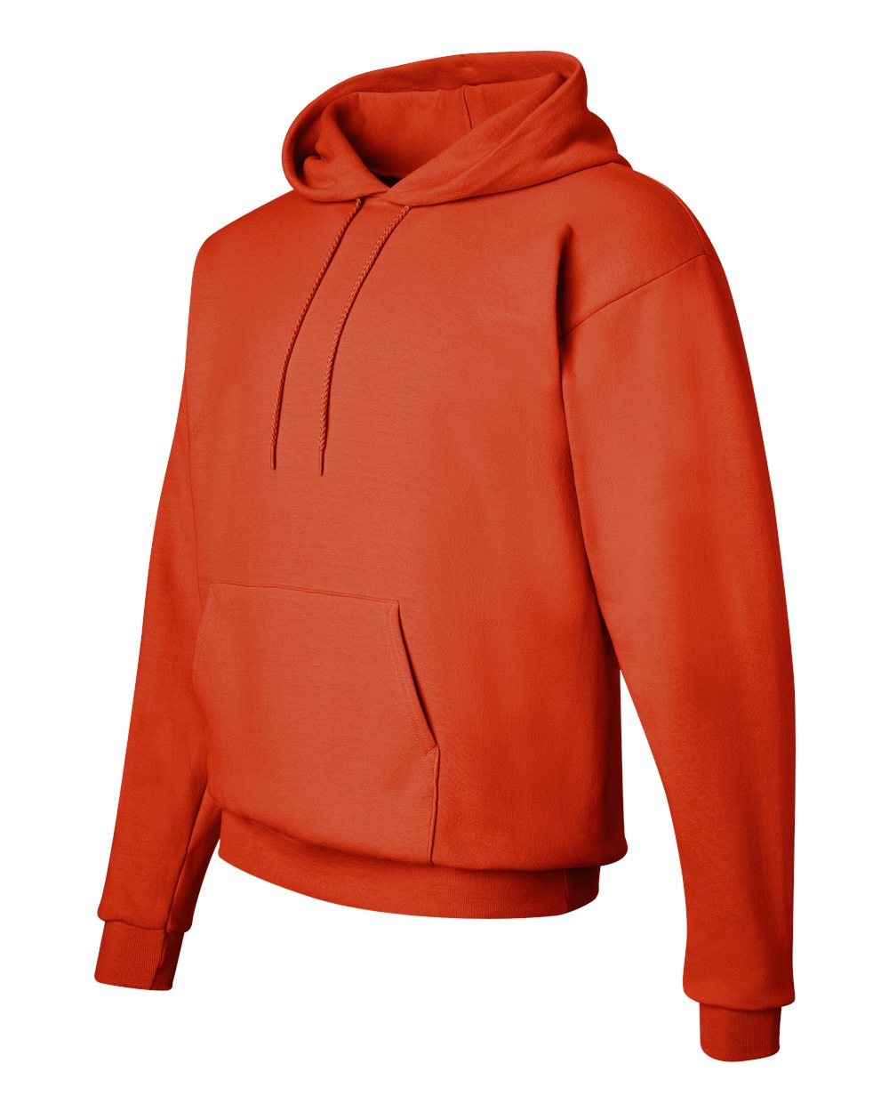 Hanes Ecosmart® Hooded Sweatshirt - P170