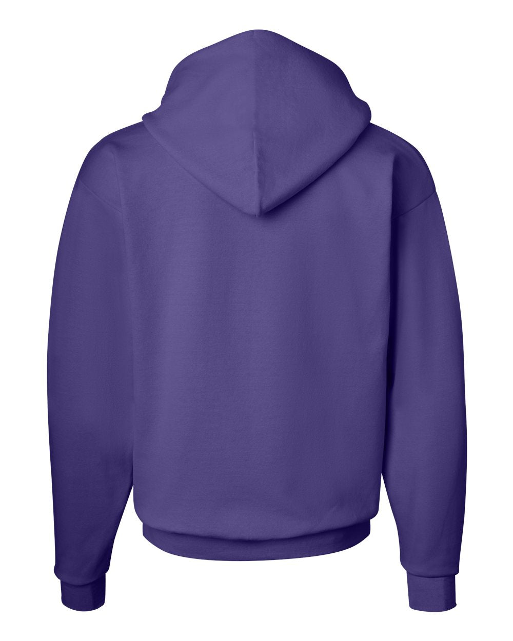 Hanes Ecosmart® Hooded Sweatshirt - P170