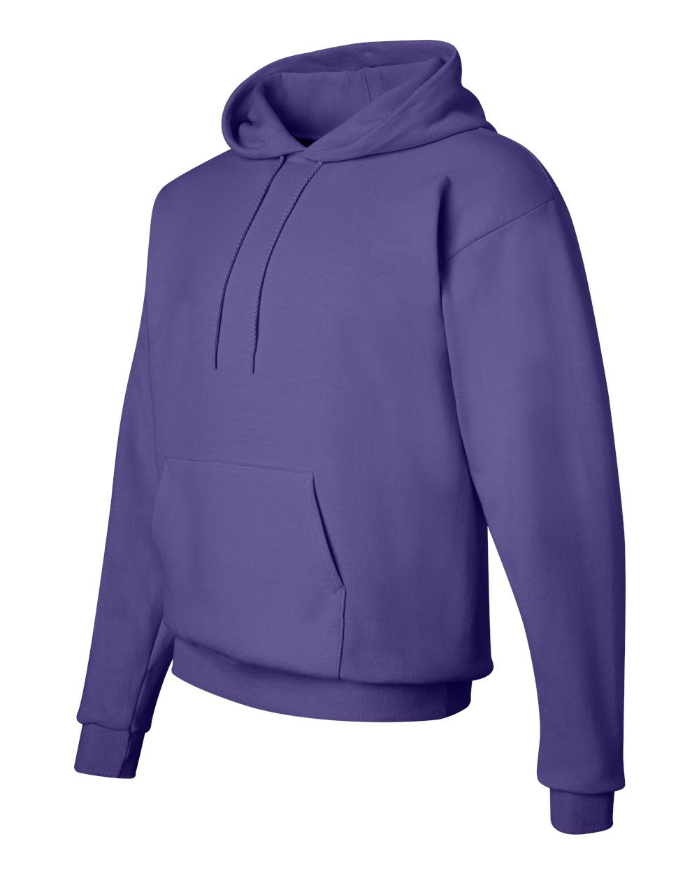 Hanes Ecosmart® Hooded Sweatshirt - P170