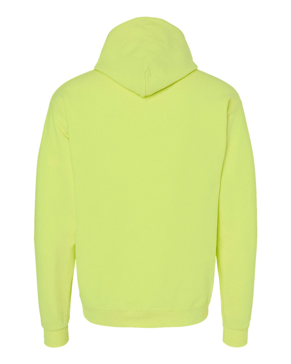 Hanes Ecosmart® Hooded Sweatshirt - P170