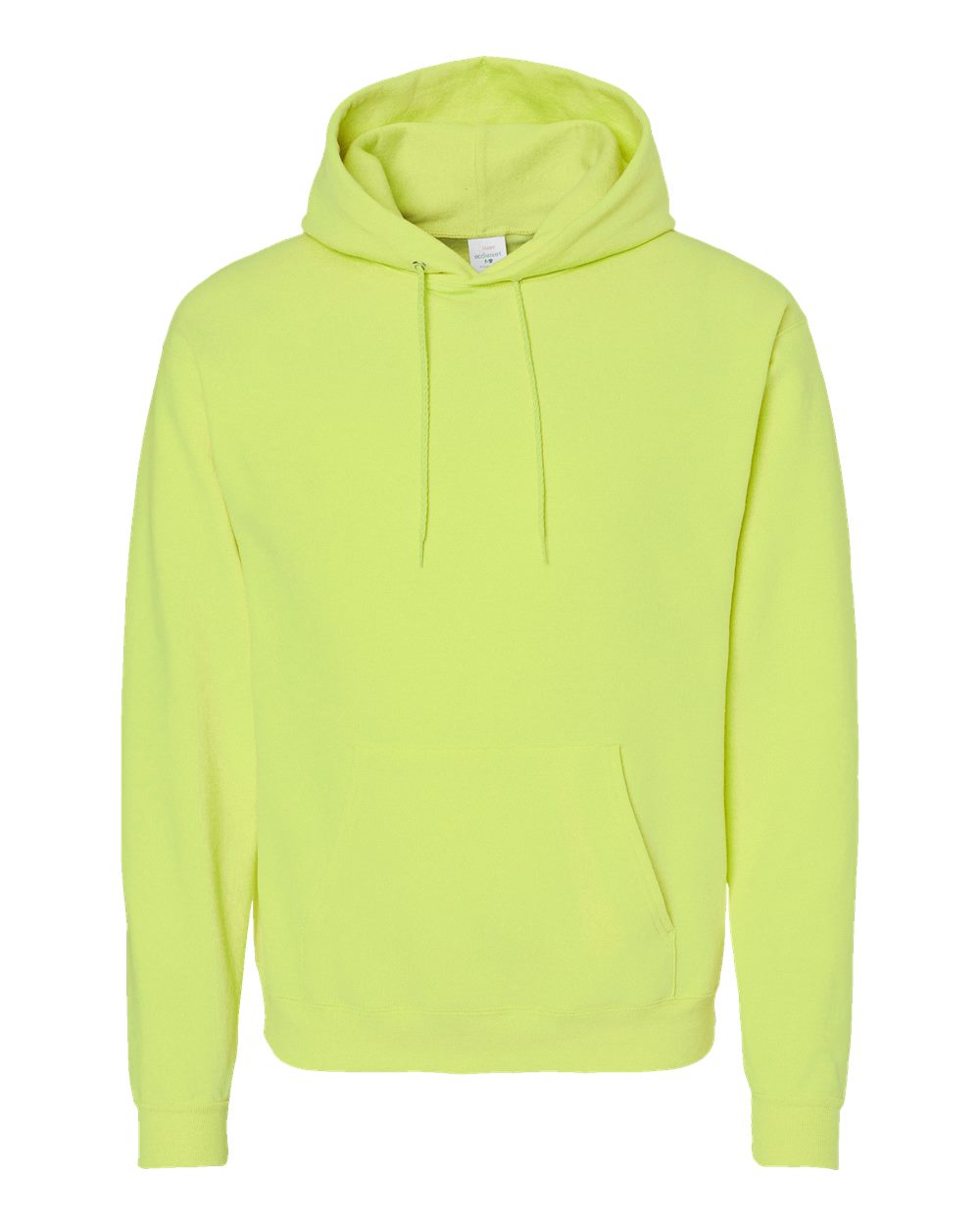 Hanes Ecosmart® Hooded Sweatshirt - P170