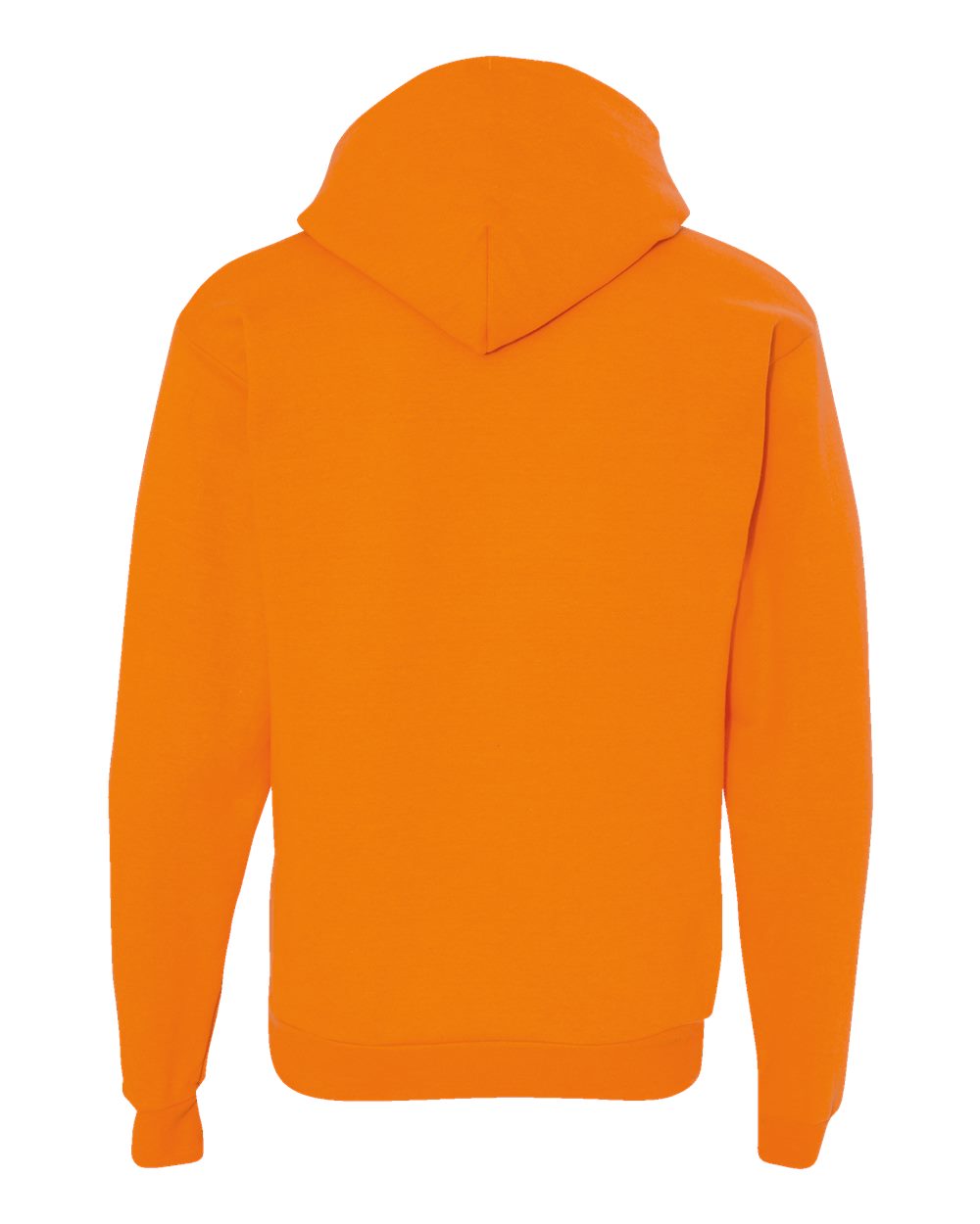 Hanes Ecosmart® Hooded Sweatshirt - P170